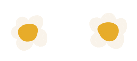 Flowers Daisies Sticker