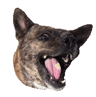 Lola Sticker