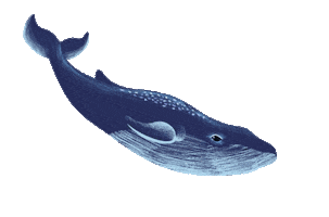 Creme De La Mer Ocean Sticker by La Mer