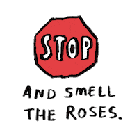 Saying Stop And Smell The Roses Sticker by Aerie