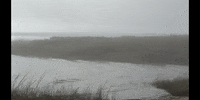 Education Biology GIF by DIIMSA Stock