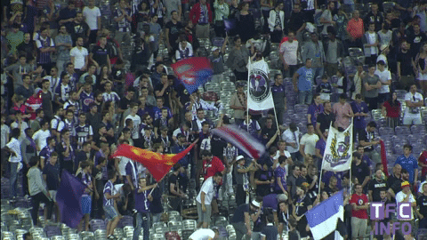 toulousefc giphygifmaker sports soccer stadium GIF