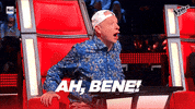 Television Show GIF by The Voice of Italy