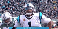 Carolina Panthers Football GIF by NFL