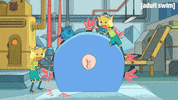 Season 2 Episode 208 GIF by Rick and Morty