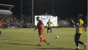 Black And Yellow Soccer GIF by Charleston Battery