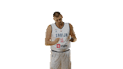 Olympic Nikolajokic Sticker by sportmts