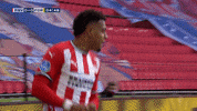 GIF by FOX Sports