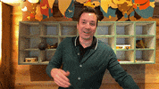Excited Jimmy Fallon GIF by The Tonight Show Starring Jimmy Fallon
