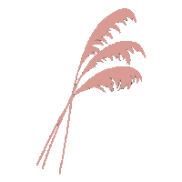 Pampas Grass Pink Sticker by MissBeaut