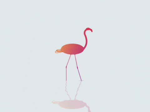 flamingo GIF by Olle Engstrom