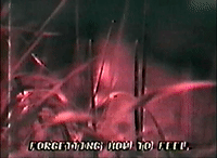 glitchedmemories  GIF