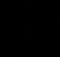 Winner GIF