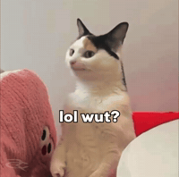 Miao Miao Lol GIF by Respective