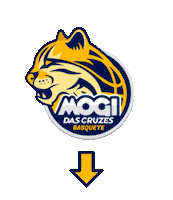 Basketball Ingressos Sticker by Mogi Basquete