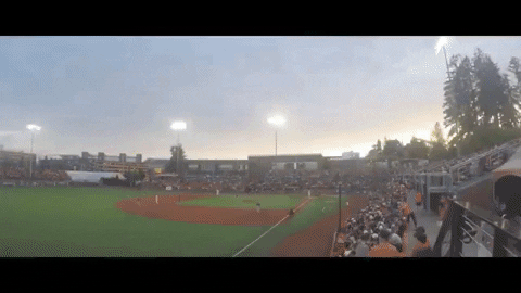 BeaverBaseball giphygifmaker baseball oregon state goss stadium GIF