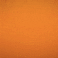 2023 GIF by Wireless Vision