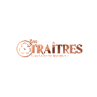 Les Traitres Sticker by M6