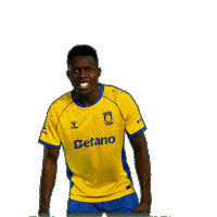 Goalcelebration Sejr Sticker by Brøndby IF