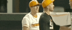 World Series Baseball GIF by NCAA Championships