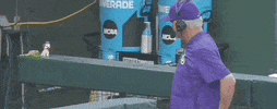 World Series Baseball GIF by NCAA Championships