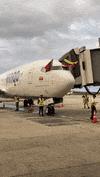 GIF by Wingo