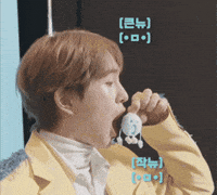 Shinee GIF