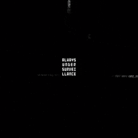 New Media Art Surveillance GIF by Nico Roxe