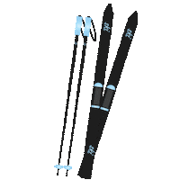 Easter Ski Sticker