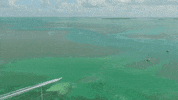 Teamkaufelt  GIF