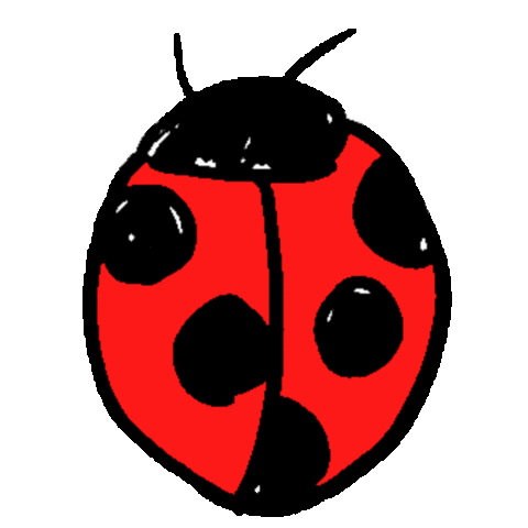 Ladybug Sticker by koimoffee