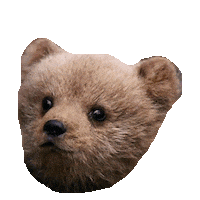 bear cub STICKER by imoji