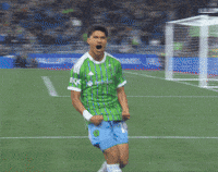Celebrate Lets Go GIF by Major League Soccer