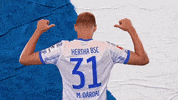 Bundesliga Berlin GIF by Hertha BSC