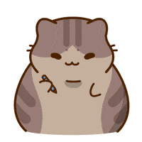 Cats GIF by Bichi Mao