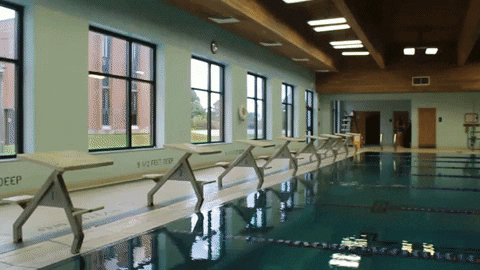 Wethebeach Virginiawesleyan GIF by VWU Marlins