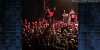 tonight show lol GIF by The Tonight Show Starring Jimmy Fallon