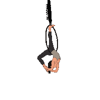 Circus Lira Sticker