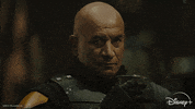 Star Wars Reaction GIF by Disney+