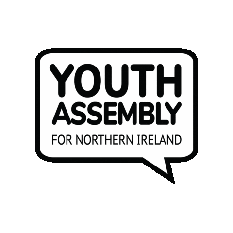 Northern Ireland Youth Assembly Sticker by niyouthassembly