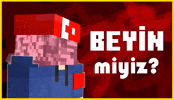 Brain Zeki GIF
