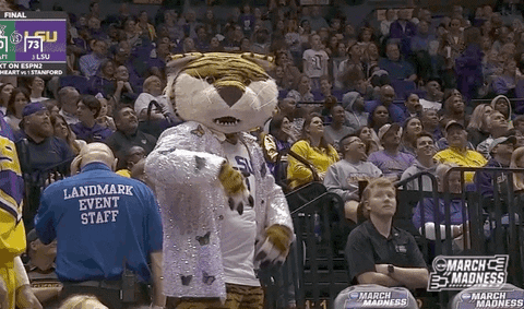 Womens Basketball Nod GIF by NCAA March Madness