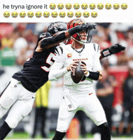 Ignoring Dixie Normous GIF