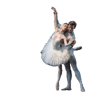 Sticker by QNBallet
