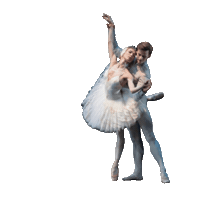 Sticker by QNBallet