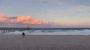 Deerfield Beach Florida GIF by CGTraveler - Carlos Garrido - Adventrgram