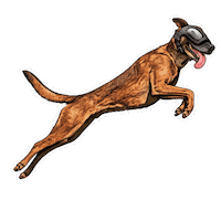 Fun Love Sticker by abana a cauda