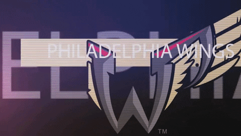 philadelphia wings GIF
