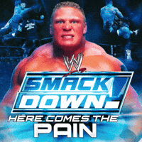 Video Game Wwe GIF