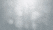 MPBiomedicalsAsiaPacific mp biomedicals mpbio fastprep sample preparation GIF